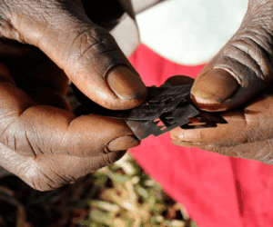 Oyo govt, UNICEF call for stronger legal action against Genital Mutilation