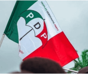 PDP Chairman commends peaceful, orderly conduct of ward congresses in Adamawa