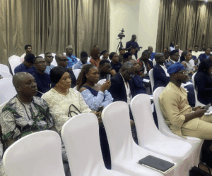 Digital exclusion threatens Nigeria’s share of global AI windfall- stakeholders warn