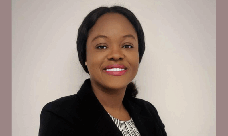 Building Africa’s Knowledge Economy: The Strategist Turning Vision into Investable Reality
