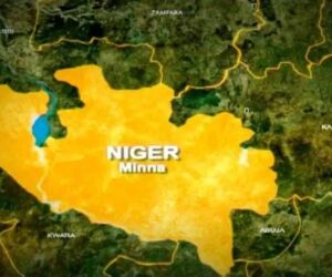 Diphtheria k!lls ten in Niger state