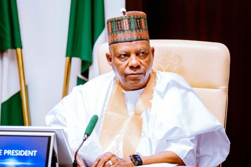 AI, energy transition among Africa’s ‘opportunities in disguise’ – Shettima