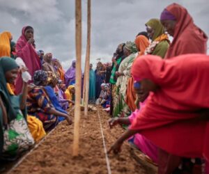 Kaduna Women Trained On Climate-Smart Vegetable Production