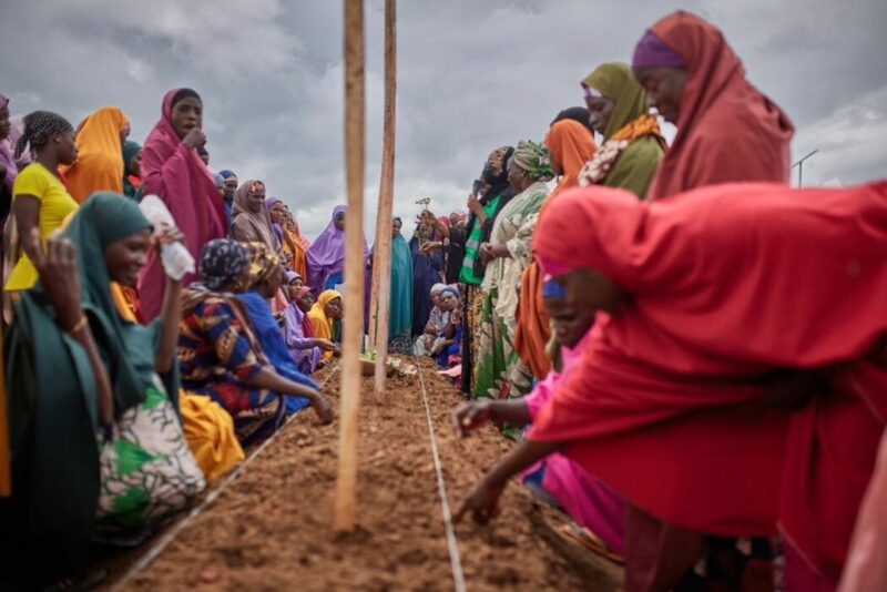 Kaduna Women Trained On Climate-Smart Vegetable Production