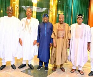 Resume Oil Exploration In Kolmani, Lake Chad, North-East Governors Tell Tinubu