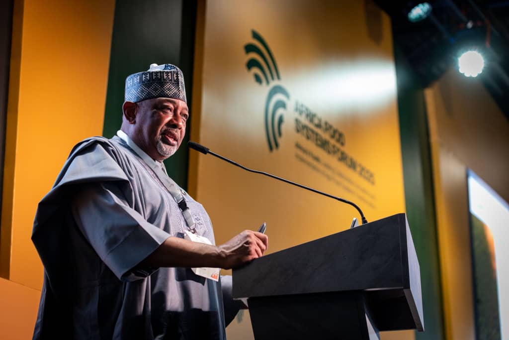 Why we banned export of raw shea nut