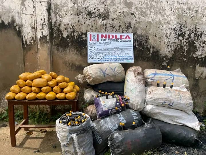 How NDLEA intercepted 8,000 bottles of Akuskura in Kano – Daily Trust