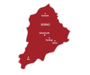 NAF Decimates Terrorist Strongholds In Borno, Over 30 Killed