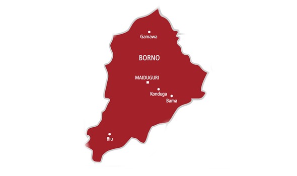 NAF Decimates Terrorist Strongholds In Borno, Over 30 Killed