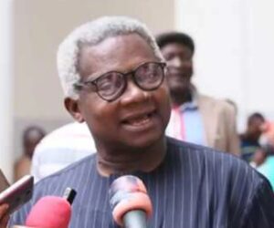 No Consensus Can Remove Tinubu In 2027 – APC Chieftain Okechukwu