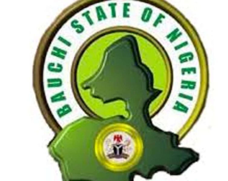 Gov Mohammed Commissions 24-Kilometre Road In Bauchi To Connect North-East, North-West After Floods