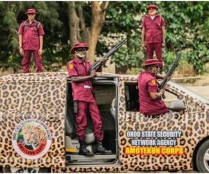 Amotekun Officers Petition Ondo Assembly Over Lack Of Formal Employment