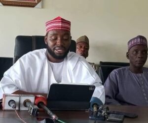 Kano Government Bans Illegal Use Of Chainsaws