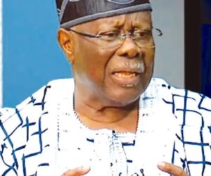 PDP Lagos On Edge As Bode George Accuses NWC Member Of Undermining Party
