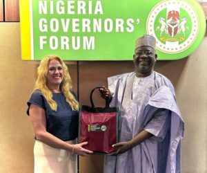 Develop Creative Economy Now, Not Tomorrow, UK Expert Tells Nigerian Governors