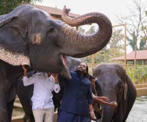 Indian Court Okays Wildlife Conservation At Vantara Private Zoo