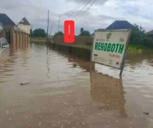 Floods Ravage Adamawa, Thousands Forced To Evacuate