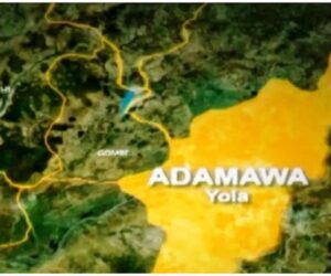 Adamawa Govt Demolishes Over 2,000 Illegal Shops In Yola Market