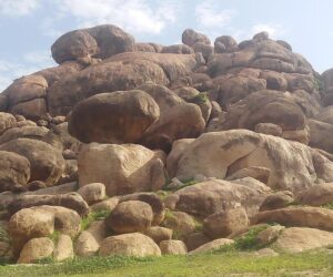 Panic As Decomposed Body Found On Jigawa Hill