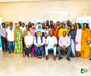 ECOWAS Trains Gambian Journalists On Combating Misinformation, Fake News – Independent Newspaper Nigeria