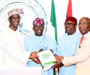 Tinubu Orders Full Implementation Of Peace Plan For Ogoniland