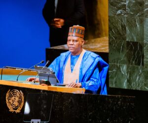 Shettima meets UN Secretary-General over Nigeria’s Security Council bid, others