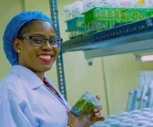 IITA celebrates Nigerian scientist’s breakthrough in cassava, yam innovation
