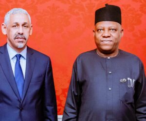 Nigeria seeks AfDB support for Great Green Wall, SAPZ