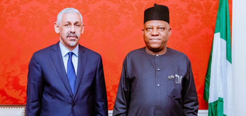 Nigeria seeks AfDB support for Great Green Wall, SAPZ