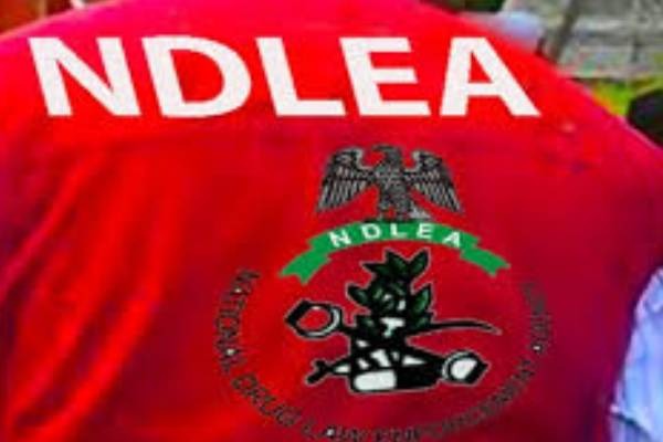 NDLEA, Police Arrest 57 Suspects In Kano Drug Crackdown