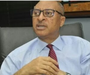 Shadow Government Alien To Nigeria’s Constitution – Independent Newspaper Nigeria