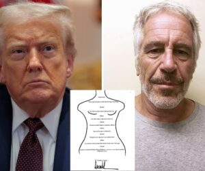 White House Backs Forensic Review Of Trump’s Alleged Signature In Epstein ‘Birthday Book’