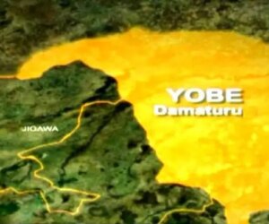 Security forces recover 48 rustled cattle in Yobe