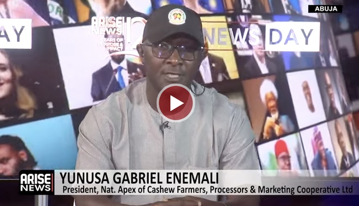 Yunusa Enemali: Nigeria Exporting Jobs by Selling Raw Cashew Instead of Processing