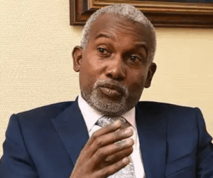 Tuggar hails Niang’s appointment as Senegal’s Foreign Affairs Minister