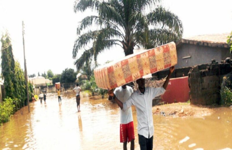 Zaria Floods Displace Hundreds of Children, Destroy Over 270 Homes
