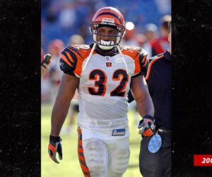 Former NFL star Rudi Johnson is de@d