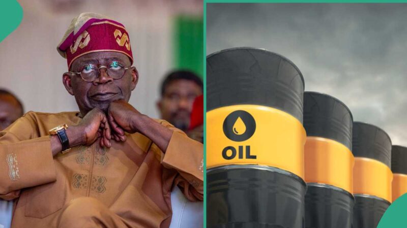 Nigeria Rises: Joins Saudi Arabia, UAE Among World’s Top Oil Producers – OPEC