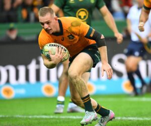 How to watch Australia vs Argentina FREE online