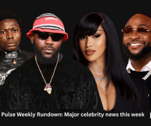 Pulse Weekly Rundown: Davido vs Wizkid feud intensifies, other major celebrity news this week