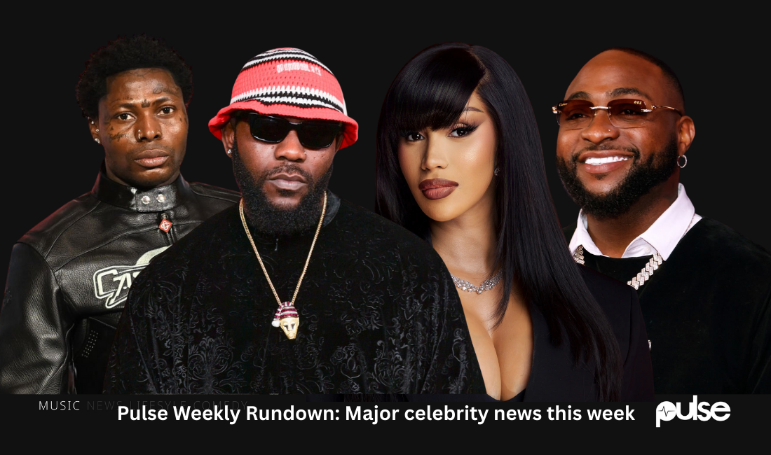 Pulse Weekly Rundown: Davido vs Wizkid feud intensifies, other major celebrity news this week