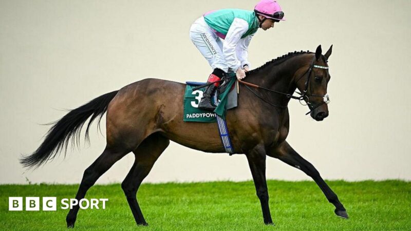Kalpana’s Prix de l’Arc de Triomphe odds drift after defeat by Giavellotto in Kempton’s September Stakes