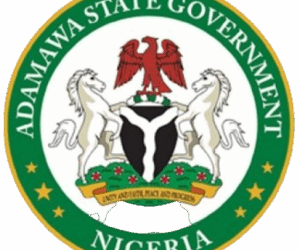 Suspected Buruli Ulcer outbreak kills 8 in Adamawa – Daily Trust