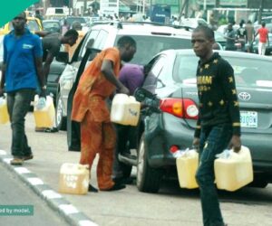 Petrol Black Market Booms as Dangote vs PENGASSAN Clash Shuts Filling Stations
