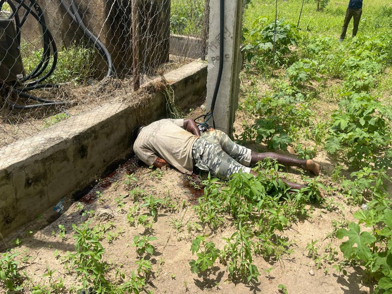Suspected transformer vandal electrocuted at Borno varsity