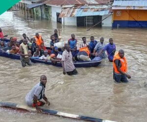 FG Mentions 14 States Where Flood May Attack in September, Full List Emerges