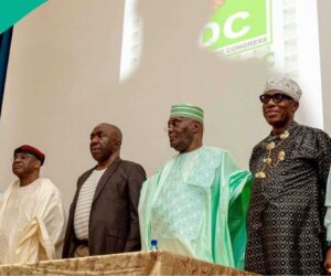 2027 Election: 5 Politicians of Northern Origin Who Officially Joined Anti-Tinubu ADC Coalition