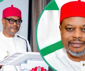 All about Uche Nnaji: his life story from business to politics
