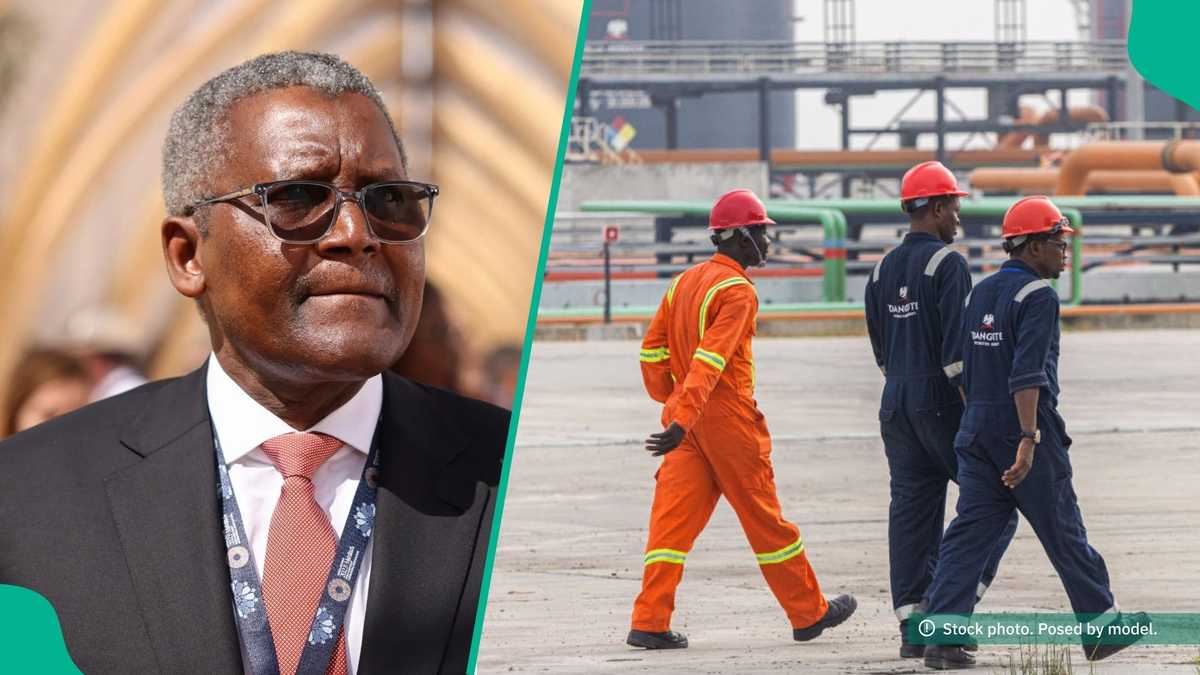 Dangote Reacts to Report of ‘Mass Sack’ at Refinery, Content of Dismissal Letter Released to Public