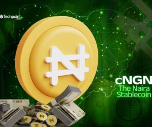 Why Riyadh-based Adaverse is investing in naira-backed stablecoin, cNGN